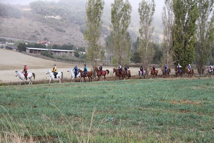 Avances Raid Reino de Navarra CEI*, CEN*, CEN0*, CEAP60 y CEAP40 del d&iacute;a 30 de mayo